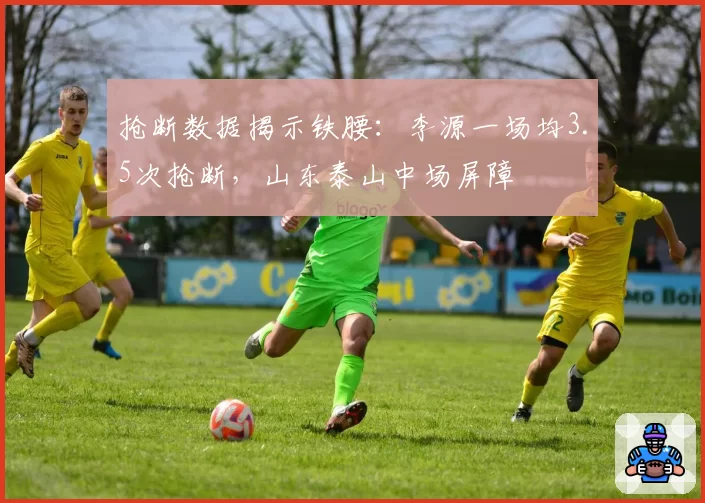 抢断数据揭示铁腰:李源一场均3.5次抢断,山东泰山中场屏障