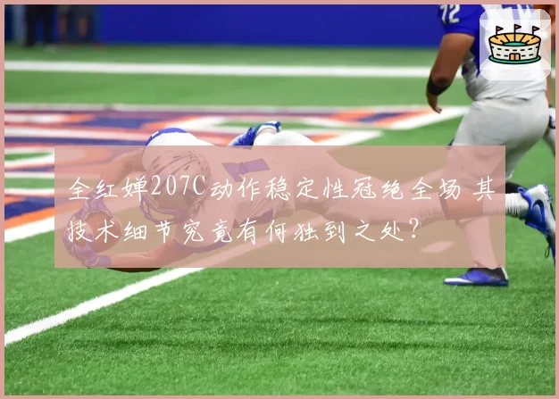 全红婵207C动作稳定性冠绝全场 其技术细节究竟有何独到之处？