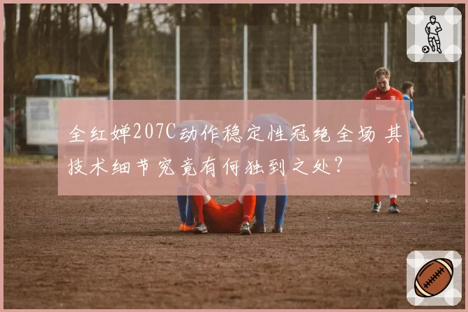 全红婵207C动作稳定性冠绝全场 其技术细节究竟有何独到之处？